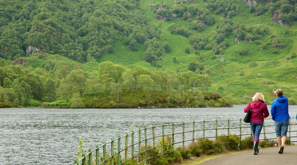 Loch Katrine caracterizando cenas de floresta e um lago ou charco assim como um pequeno grupo de pessoas