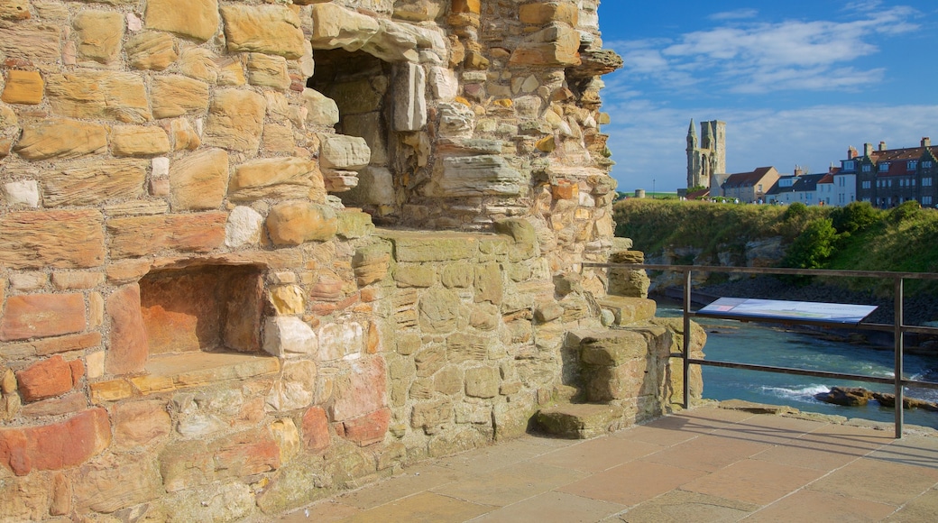 St. Andrew\'s Castle som visar kustutsikter, historiska element och historisk arkitektur