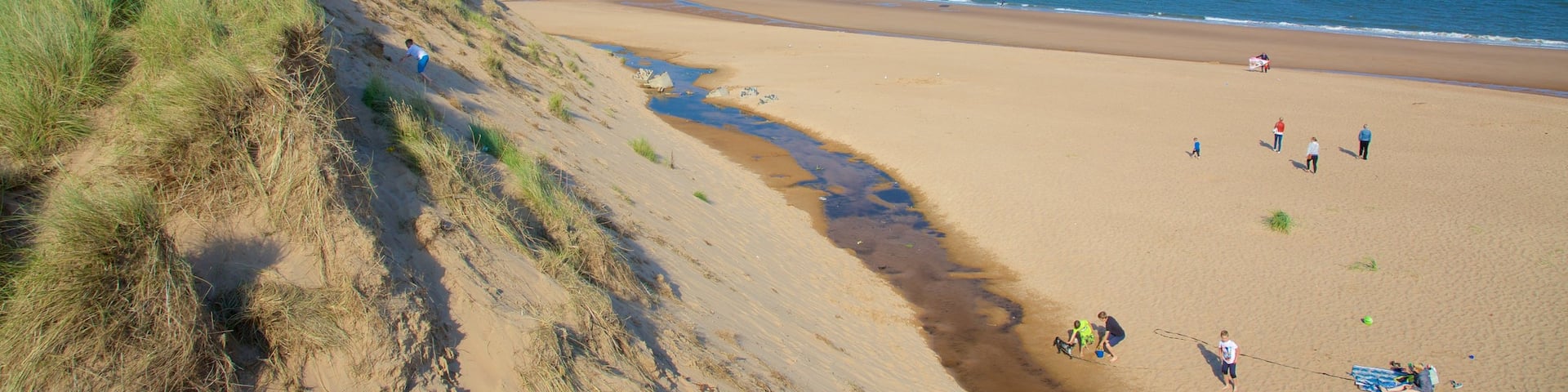Balmedie Country Park showing general coastal views and a beach