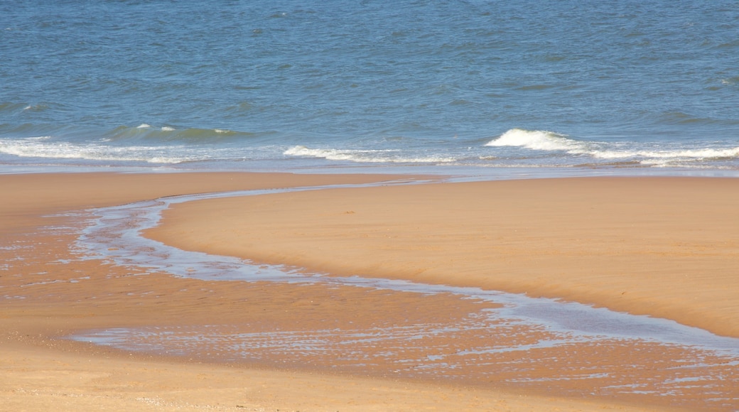 Balmedie Country Park mit einem allgemeine Küstenansicht und Strand