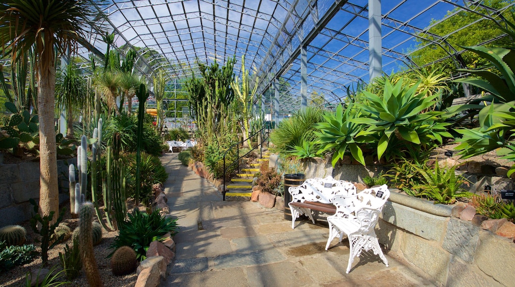 Duthie Park Winter Gardens featuring a garden and interior views