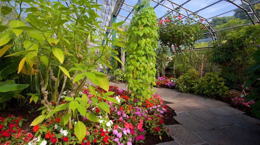 Duthie Park Winter Gardens featuring a park and interior views