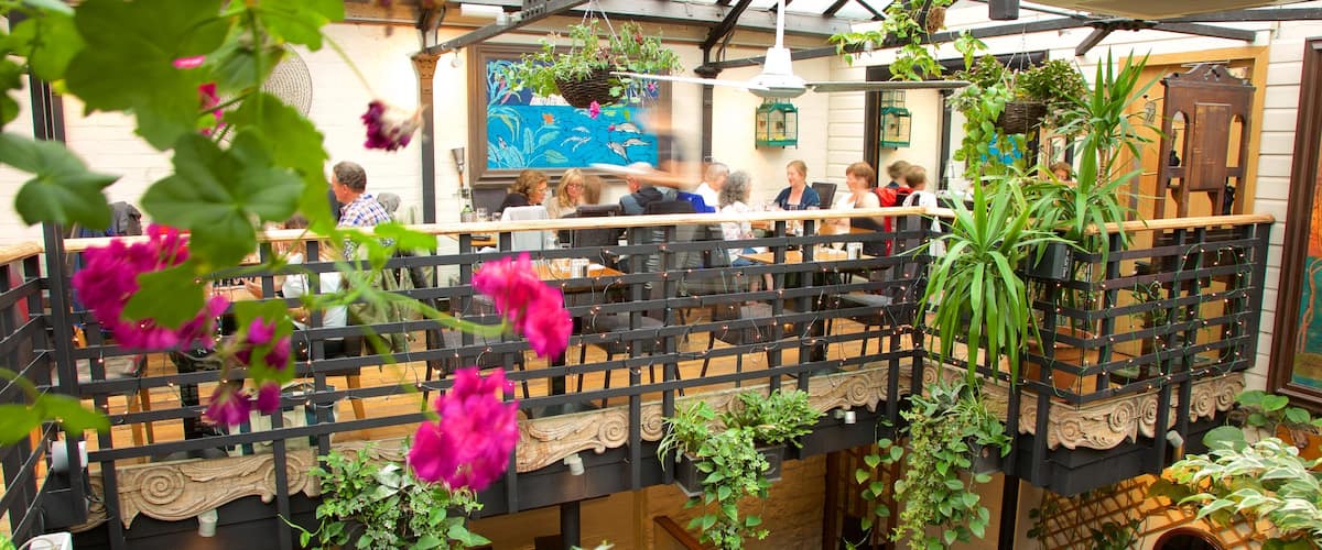 Glasgow mettant en vedette fleurs et vues intérieures