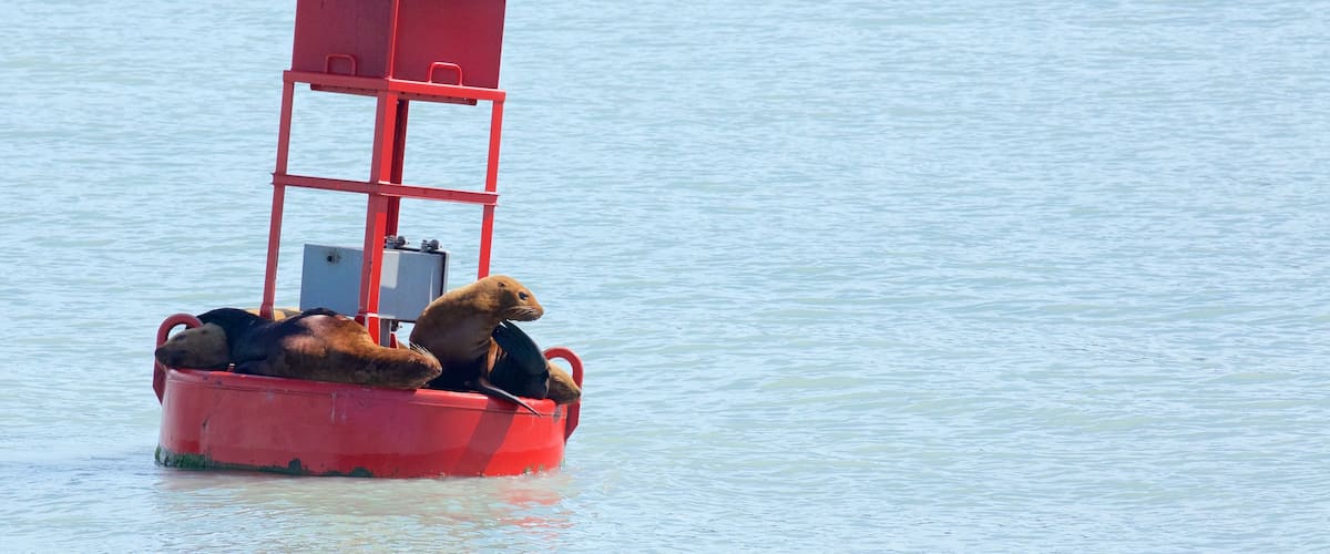 Alaska which includes marine life and general coastal views