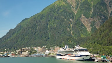 Juneau ofreciendo vistas generales de la costa, crucero y una ciudad costera