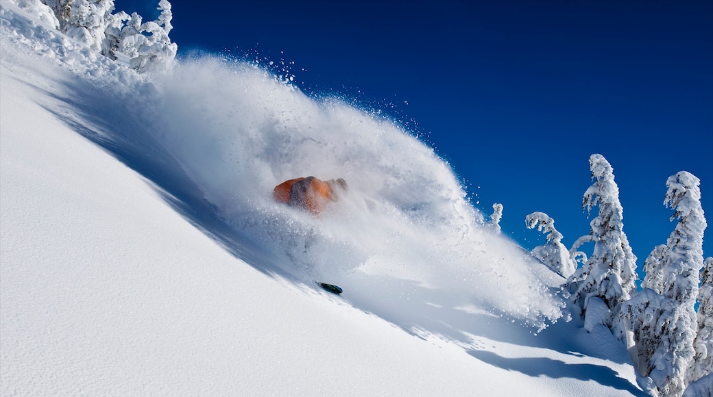 Photo provided by Mammoth Lakes Tourism