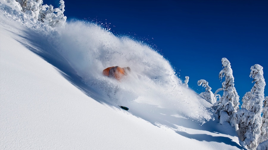 Mammoth Lakes