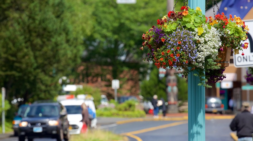 Ketchikan showing flowers