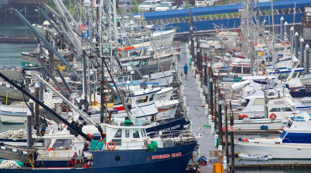Ketchikan showing a marina