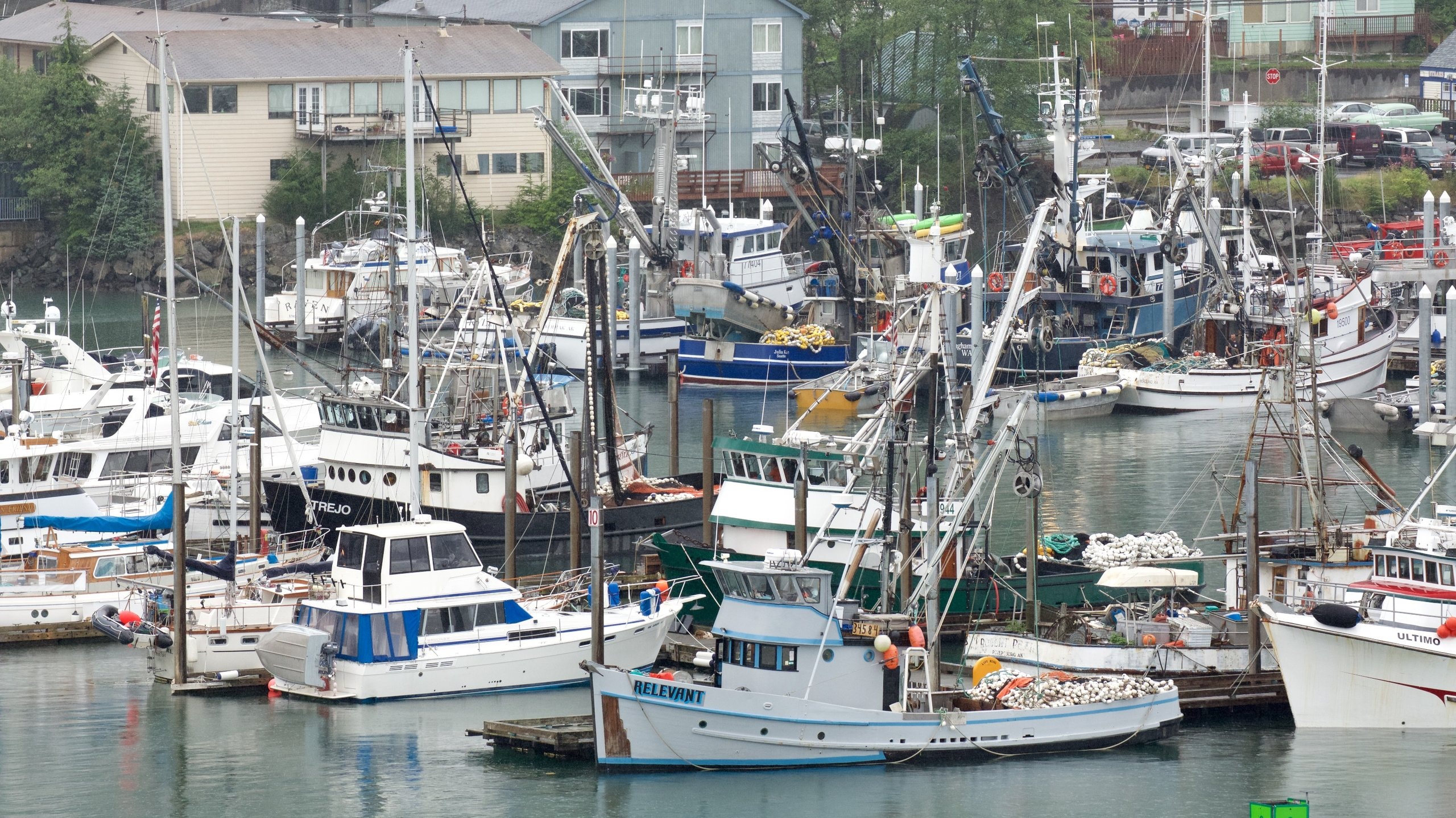 Ketchikan which includes bird life
