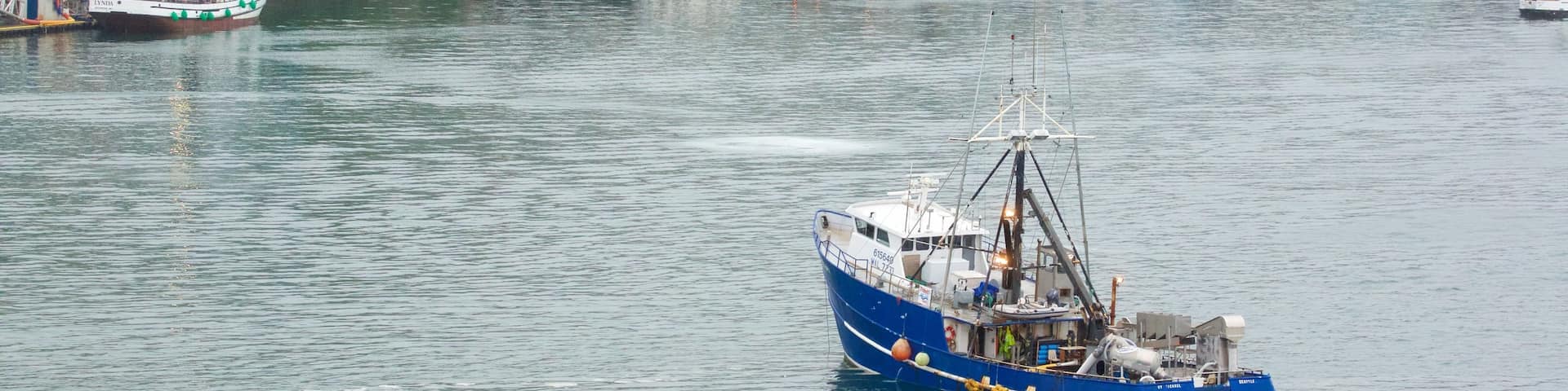 Ketchikan which includes general coastal views and boating