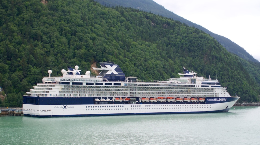 Skagway showing forests and cruising