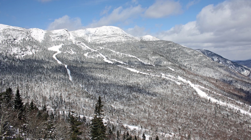 Photo provided by Stowe Mountain Resort