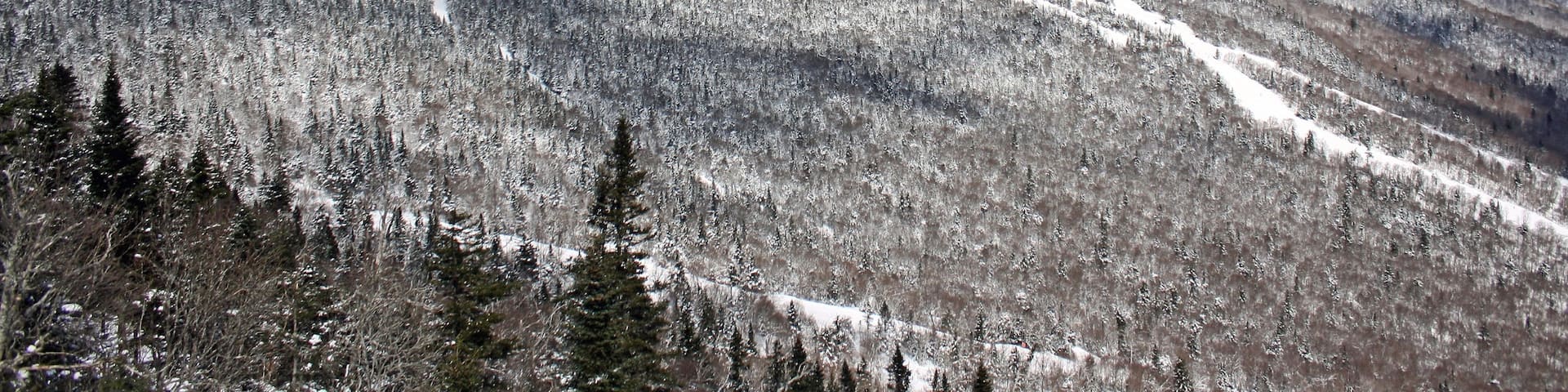 Stowe Mountain Resort featuring mountains, snow and forest scenes