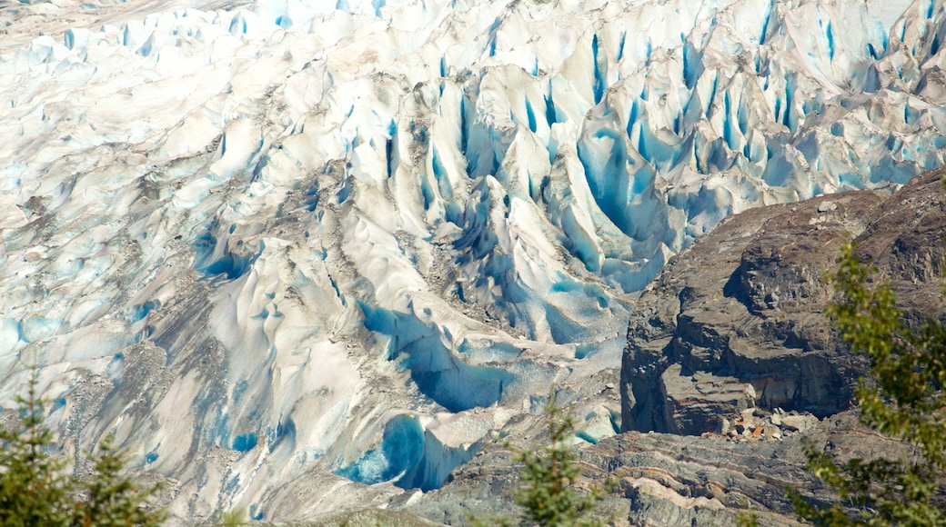 Mendenhall Glacier showing snow