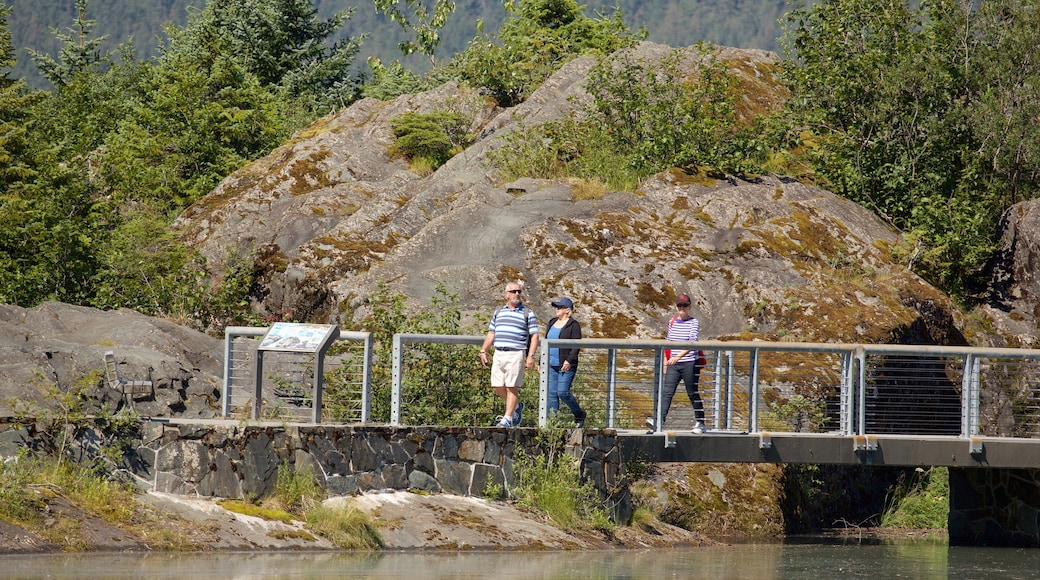 Mendenhall Glacier showing a bridge as well as a small group of people