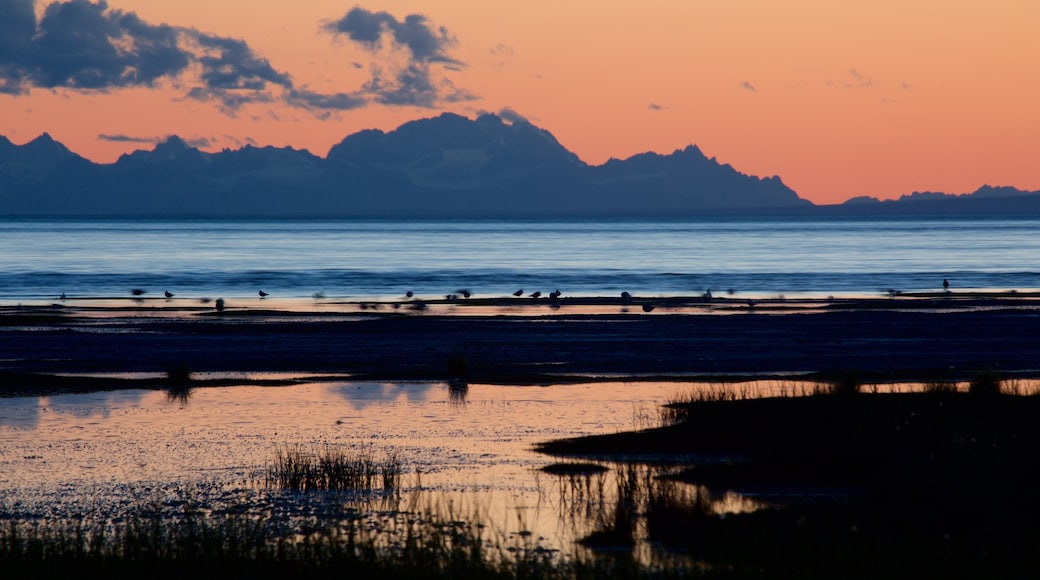 Anchorage ofreciendo un atardecer y una playa de arena