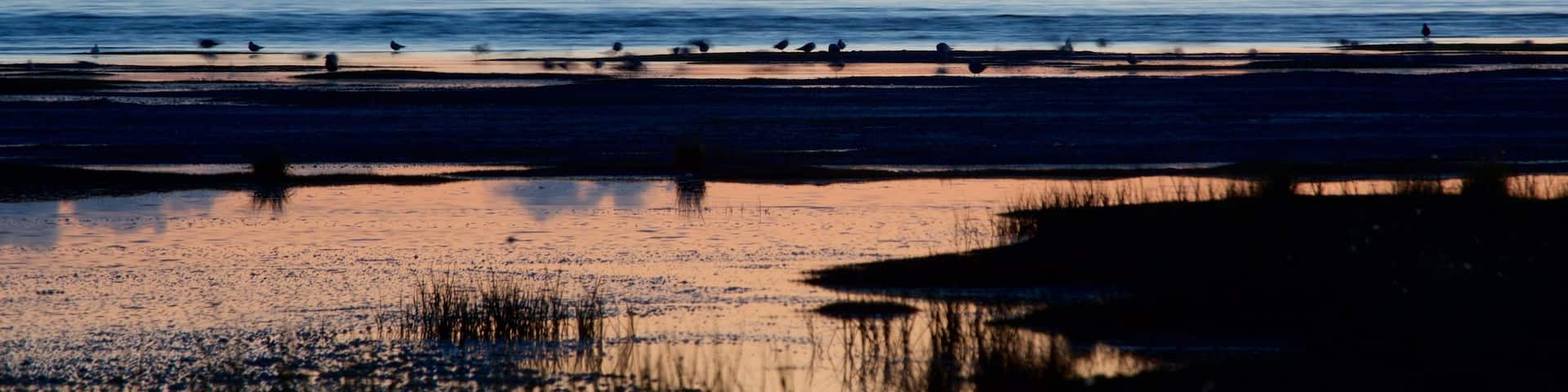 Anchorage which includes a sunset and a beach