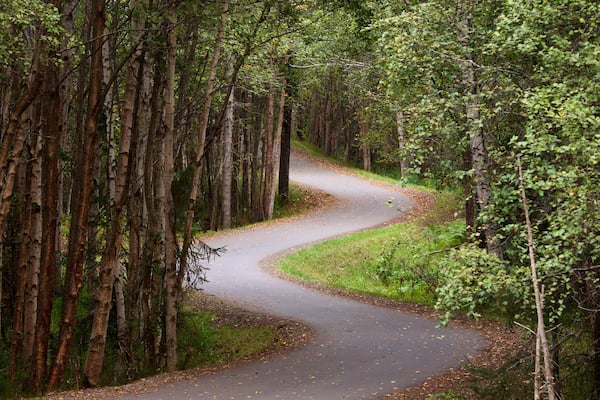Tony Knowles Coastal Trail mettant en vedette forêts