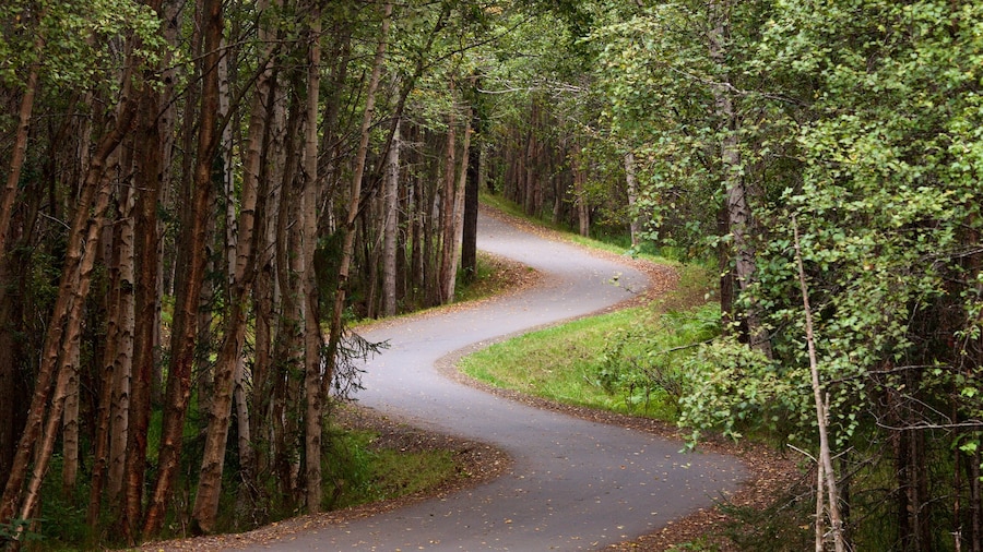 Tony Knowles Coastal Trail featuring forest scenes