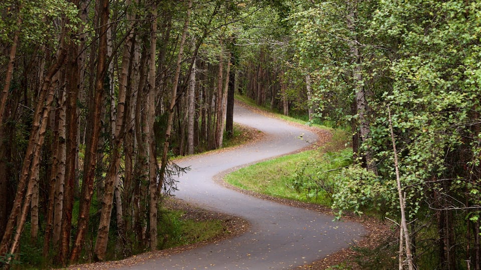 Tony Knowles Coastal Trail which includes forests