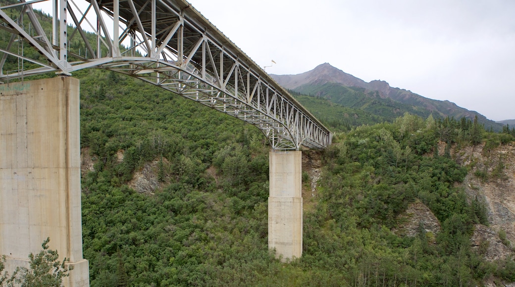 Fairbanks showing a bridge and forest scenes