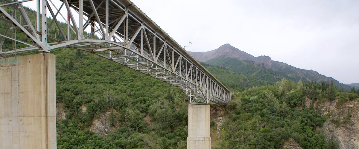 Fairbanks mostrando bosques y un puente