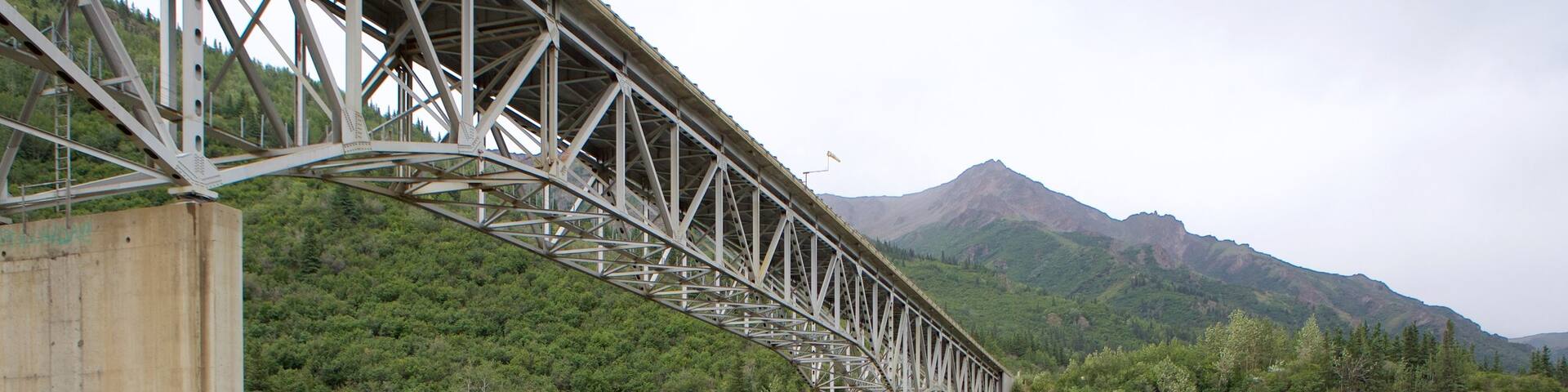Fairbanks featuring forests and a bridge