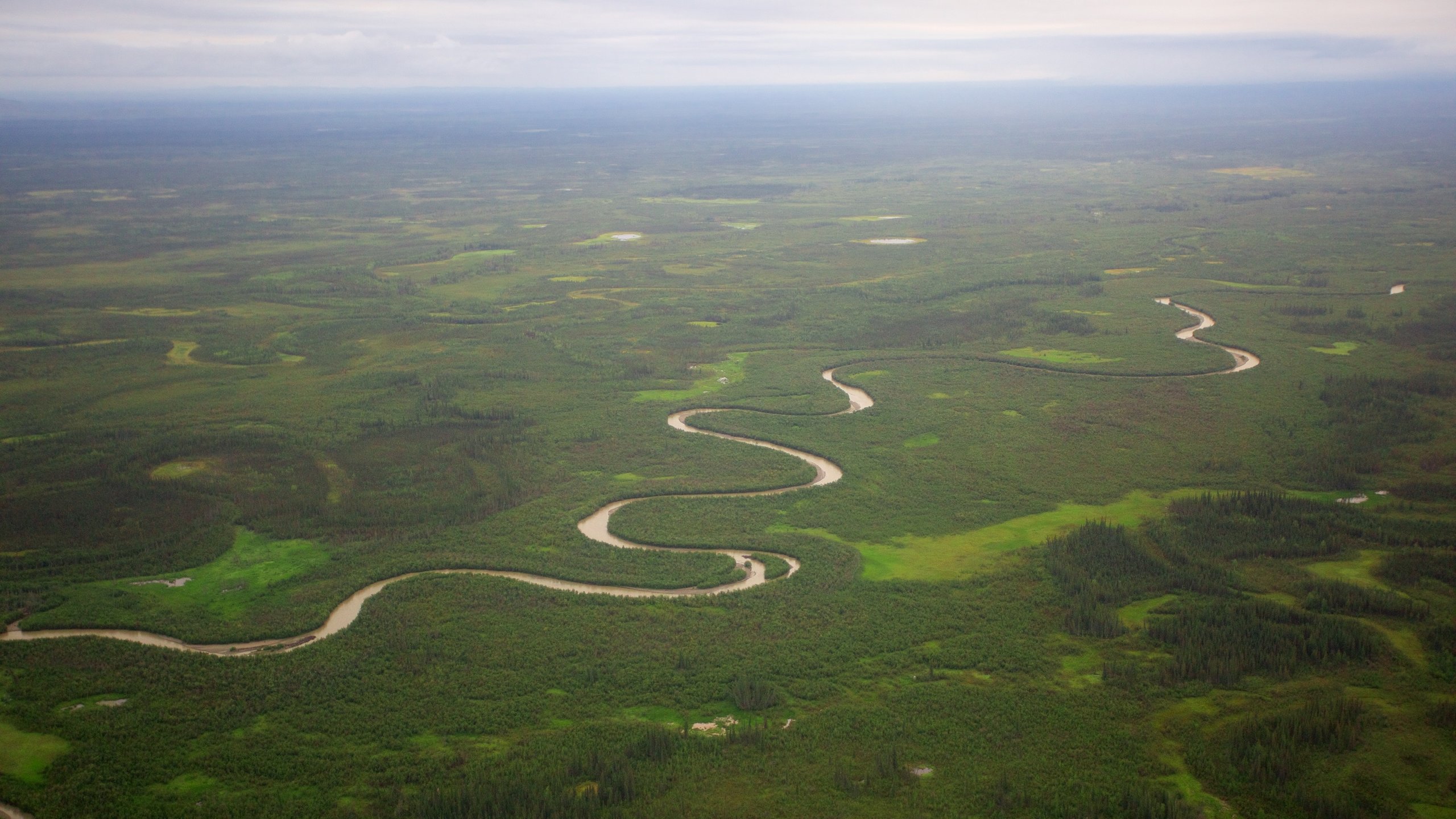 Fairbanks featuring forests and a river or creek