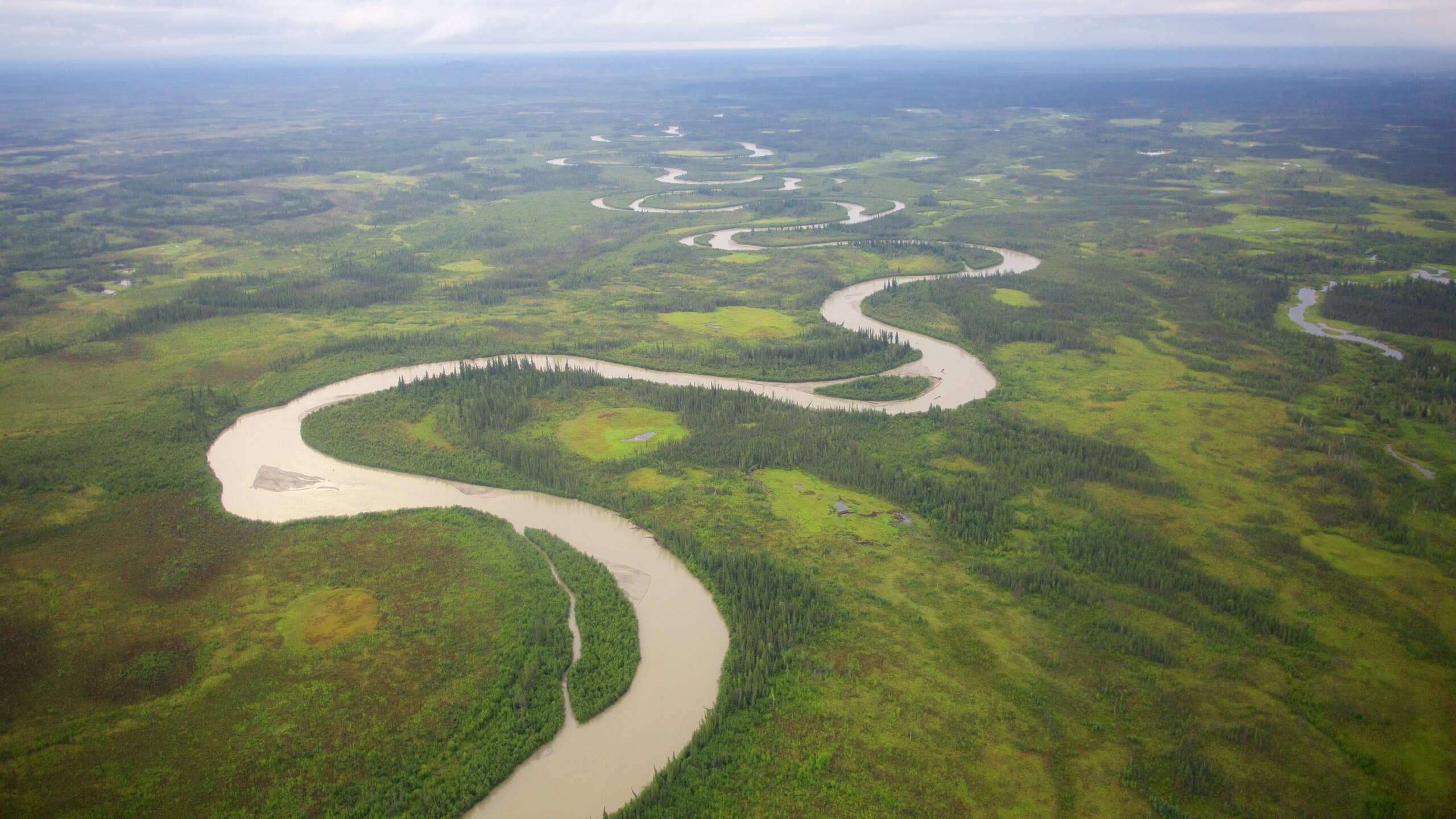 Fairbanks featuring a river or creek and forest scenes