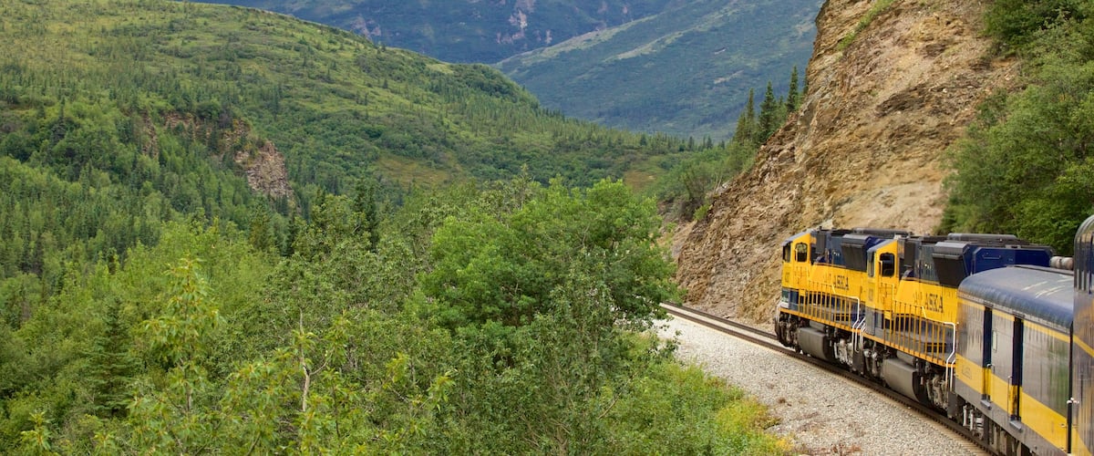 Fairbanks featuring forests and railway items