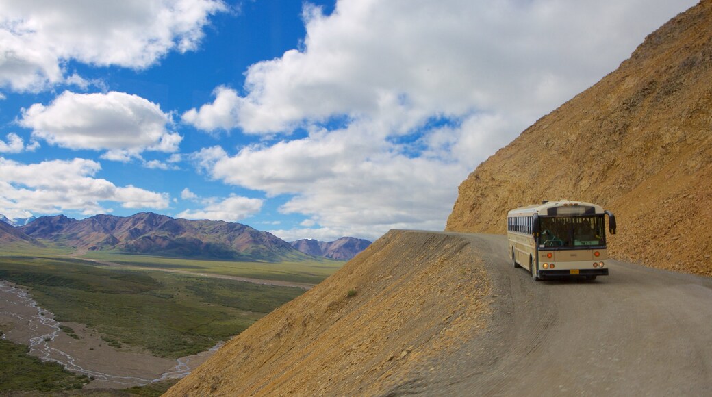 Parque Nacional de Denali que incluye excursiones y montañas