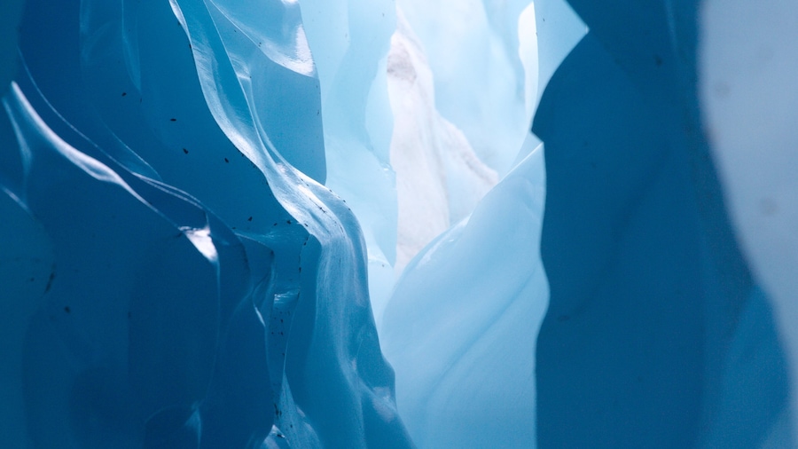 Wrangell-St. Elias National Park featuring interior views and snow