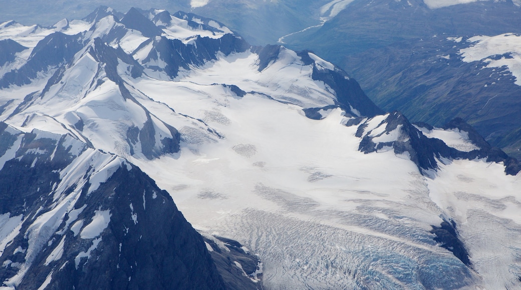 Wrangell-St. Elias National Park and Preserve toont sneeuw en bergen