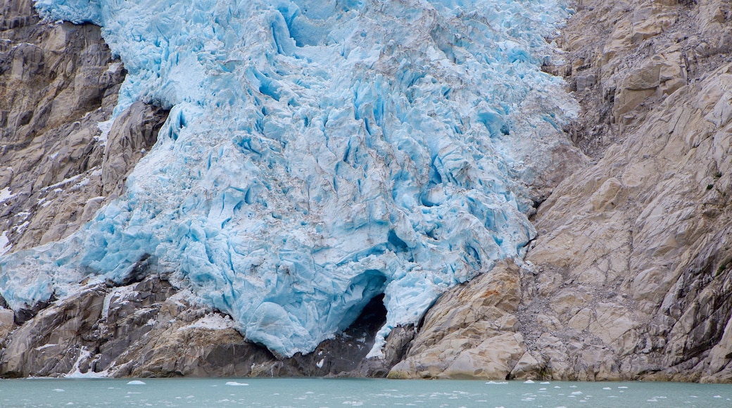 Kenai Fjords som inkluderar snö