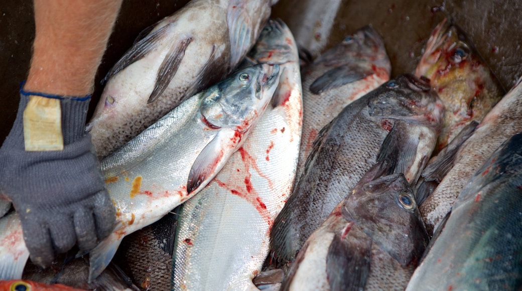 西華德 设有 釣魚