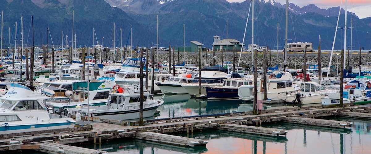 Seward montrant vues littorales, marina et voile
