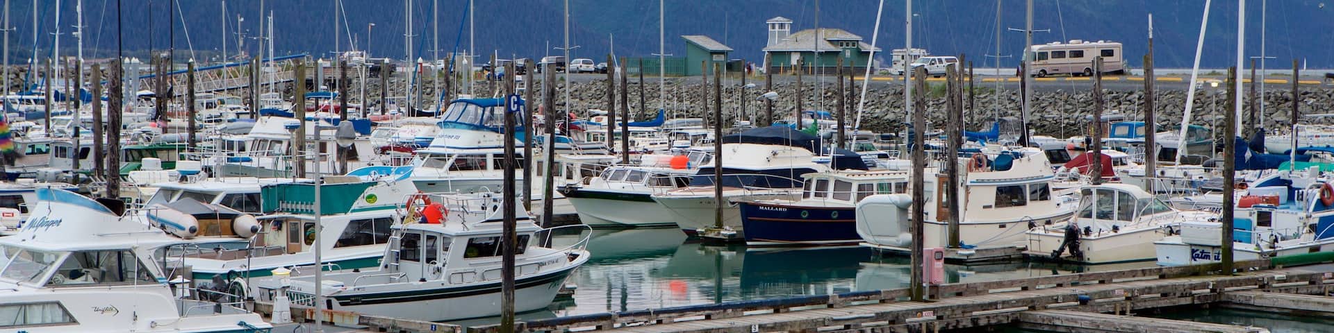 Seward mostrando navegación, vistas generales de la costa y una marina