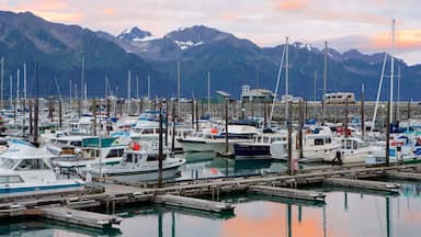 Seward toont een jachthaven, zeilen en algemene kustgezichten