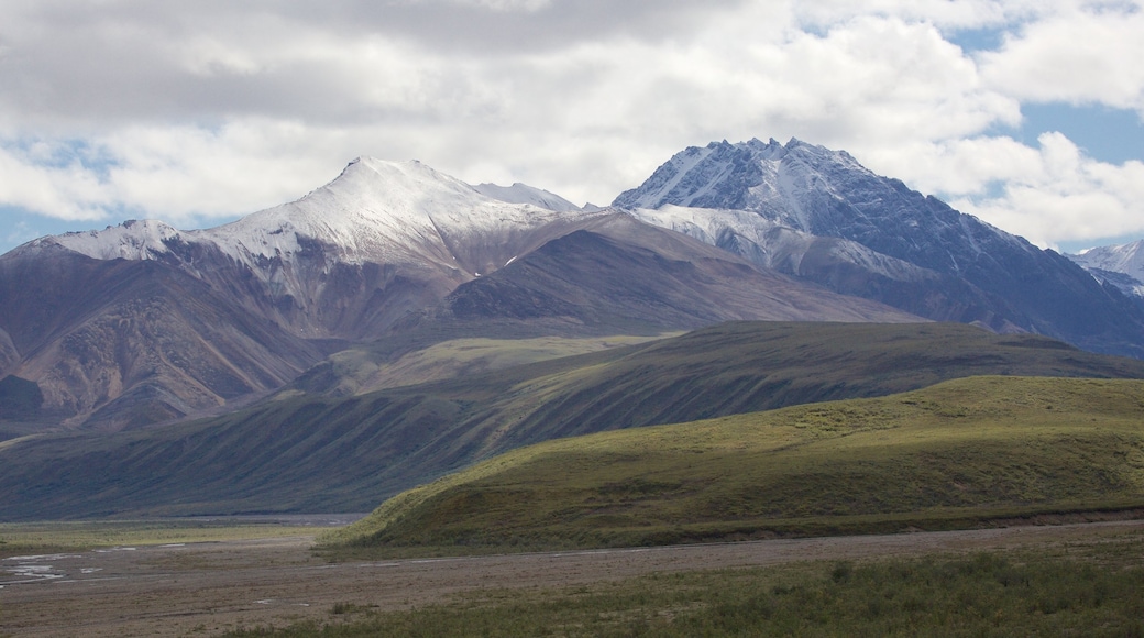 Parque Nacional de Denali ofreciendo montañas