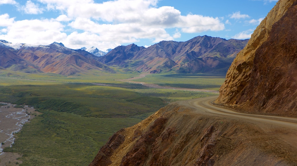 Denali National Park showing mountains