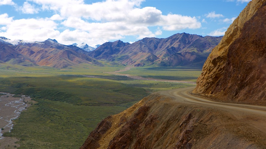 Denali National Park showing mountains