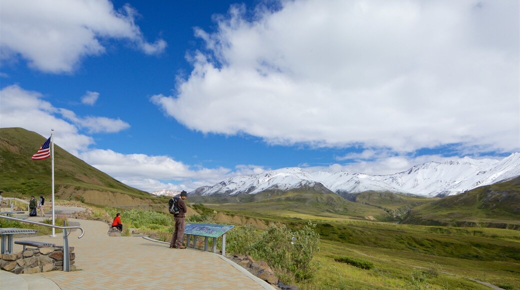 Denali National Park which includes landscape views and views