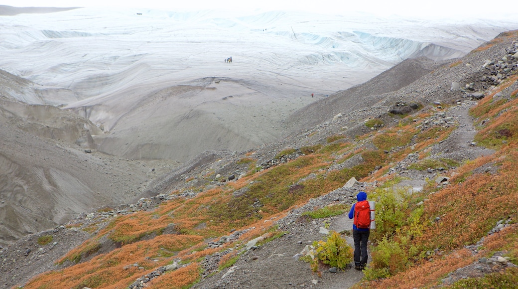 Parque Nacional y Reserva Wrangell-St. Elias que incluye senderismo o caminata