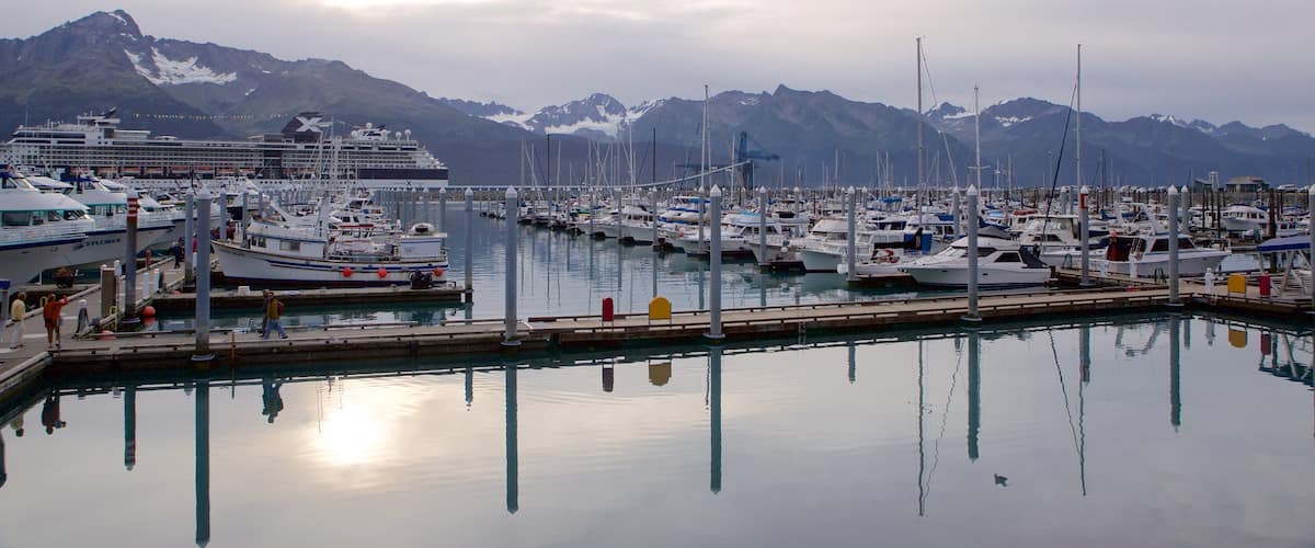 Seward featuring a marina