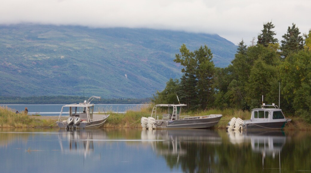 King Salmon which includes a lake or waterhole