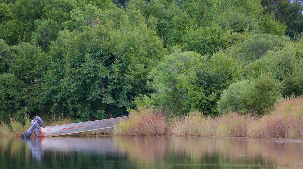 King Salmon which includes a lake or waterhole