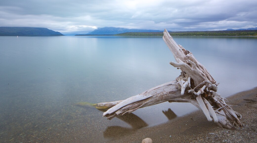 Katmai National Park showing a lake or waterhole