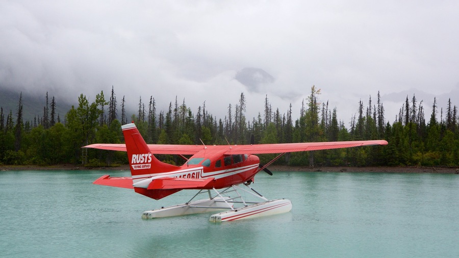 Lake Clark National Park and Preserve inclusief bossen