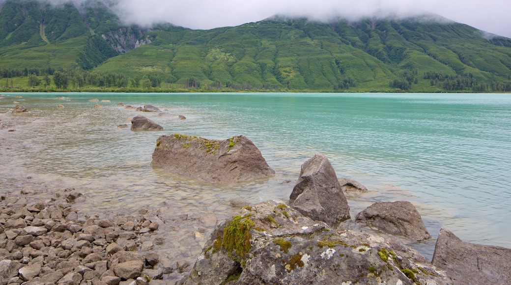 Lake Clark National Park and Preserve featuring rocky coastline and mist or fog